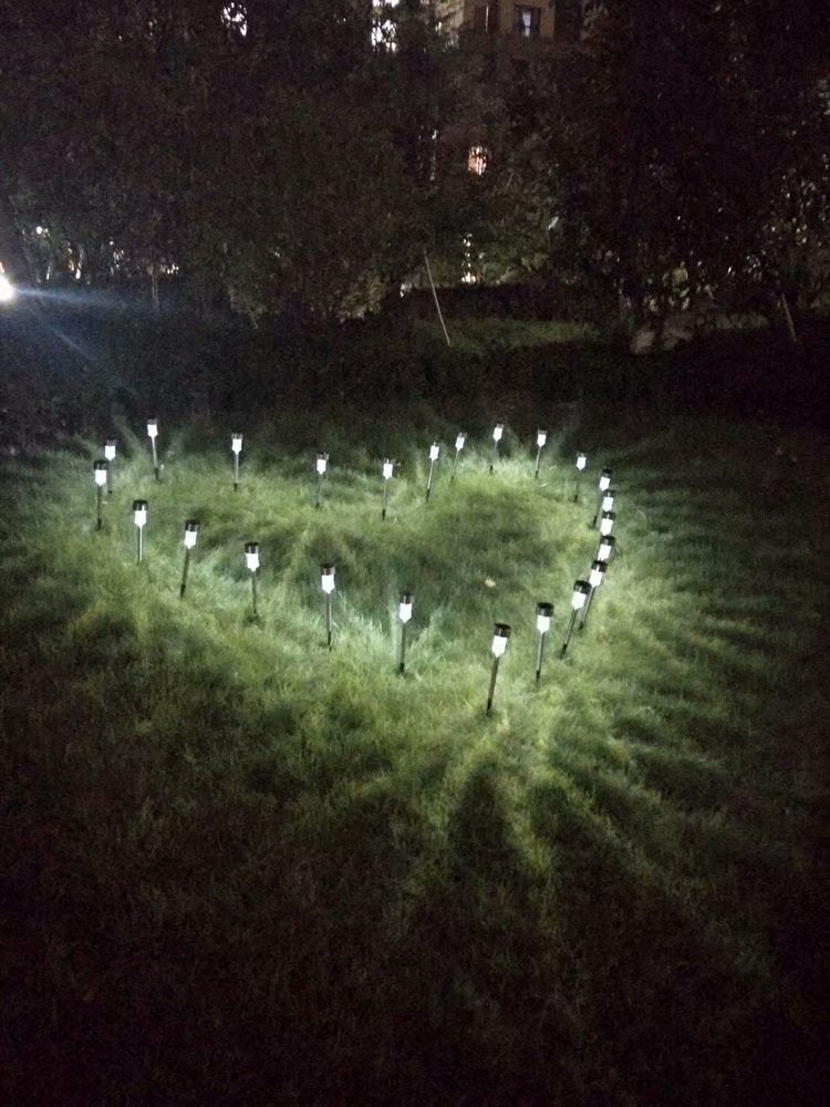 24Pcs 5W Tulip Shape Solar Powered LED Lamp